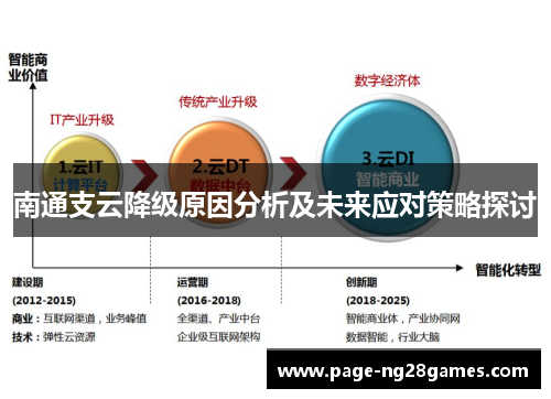 南通支云降级原因分析及未来应对策略探讨