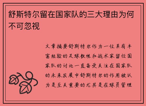 舒斯特尔留在国家队的三大理由为何不可忽视
