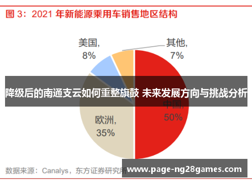 降级后的南通支云如何重整旗鼓 未来发展方向与挑战分析