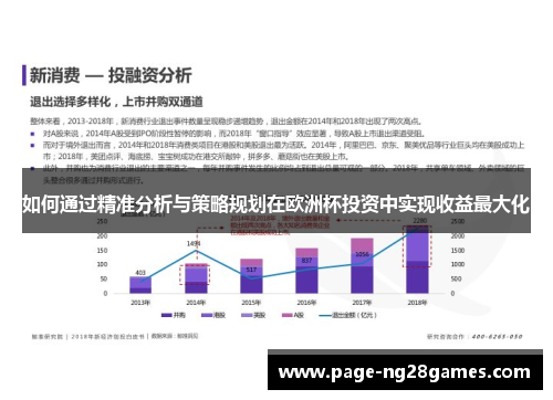 如何通过精准分析与策略规划在欧洲杯投资中实现收益最大化