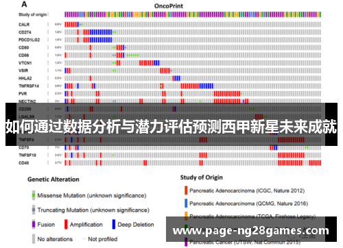 如何通过数据分析与潜力评估预测西甲新星未来成就 如何通过数据分析与潜力评估预测西甲新星未来成就