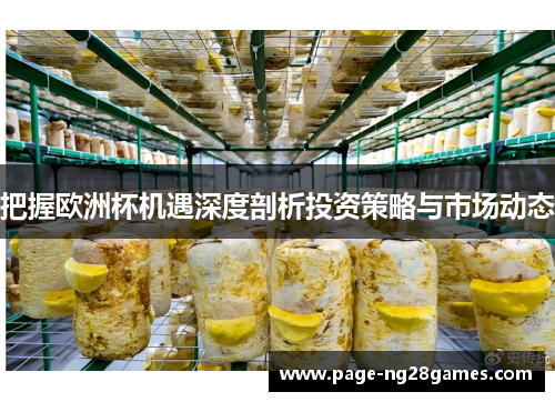 把握欧洲杯机遇深度剖析投资策略与市场动态