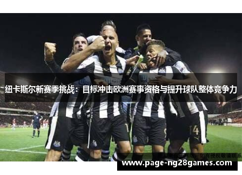 纽卡斯尔新赛季挑战：目标冲击欧洲赛事资格与提升球队整体竞争力