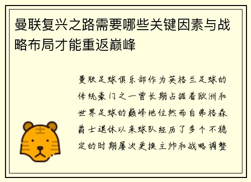 曼联复兴之路需要哪些关键因素与战略布局才能重返巅峰